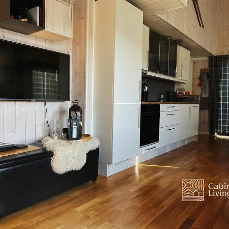 Family Friendly Golfalpin Golf, Ski-out, Fireplace & Wifi 度假居 海姆瑟达尔