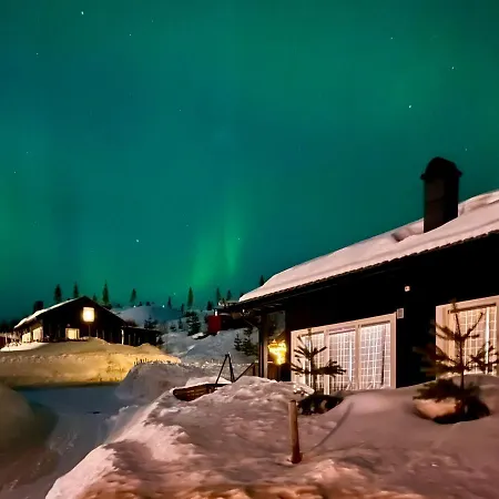 Cozy Hemsedal Cabin Ski, Golf, Wifi And Grill Holiday home *